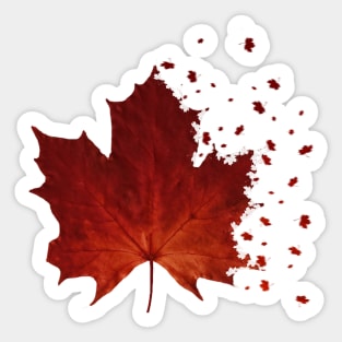 Maple Leaf Dispersion Effect Sticker